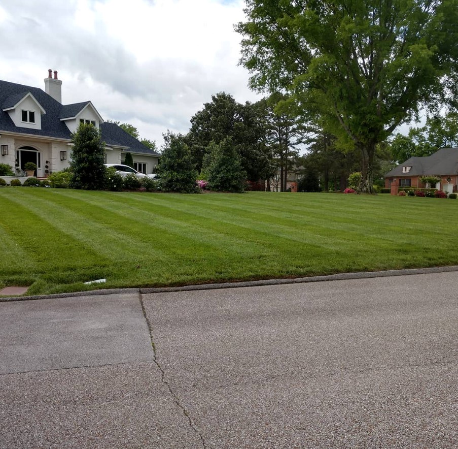 Professionally maintained residential lawn in Chattanooga