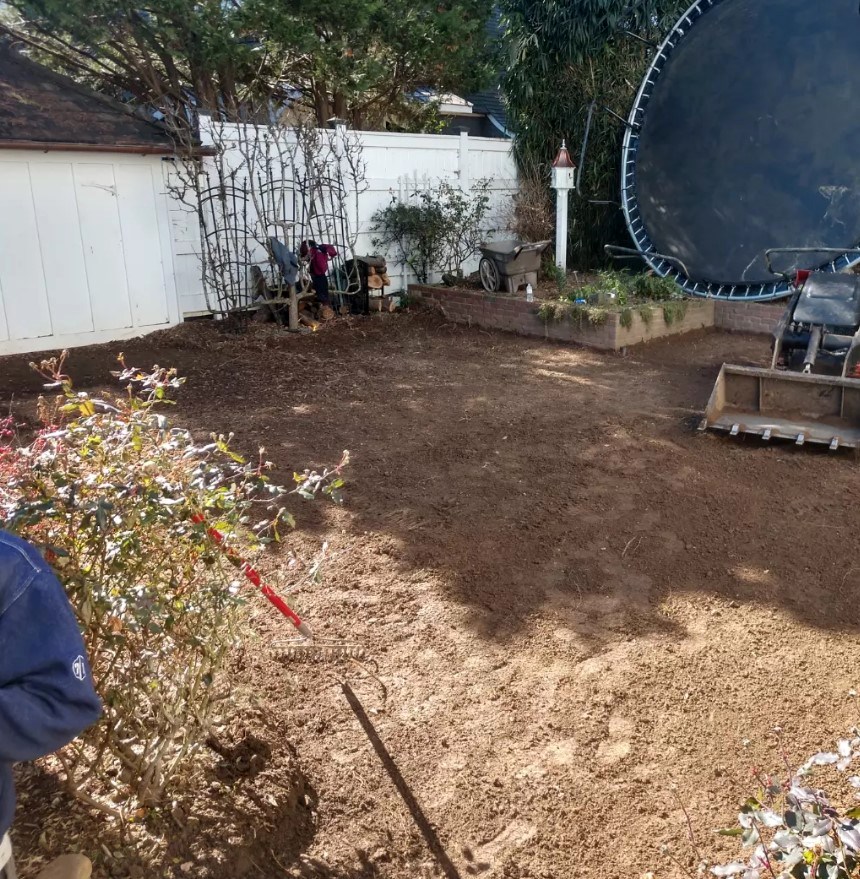 Backyard after grading and soil preparation